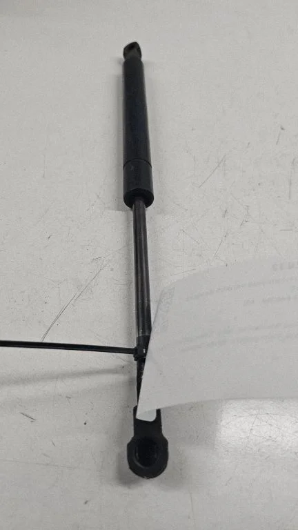 Front bonnet/hood damper/strut