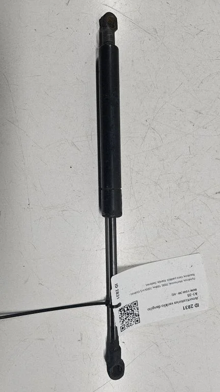 Front bonnet/hood damper/strut