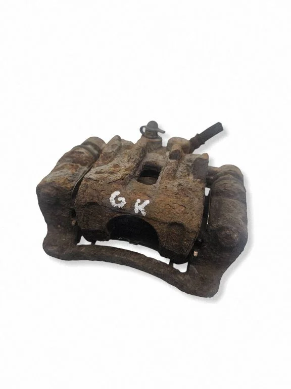Rear brake caliper 1234