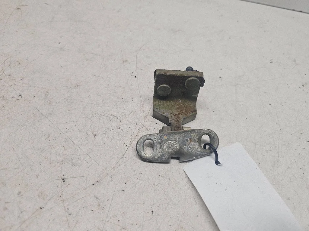 Tailgate/trunk/boot hinge