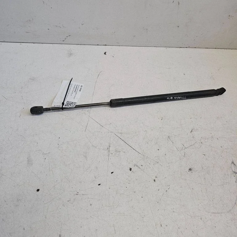 Tailgate/trunk strut/damper