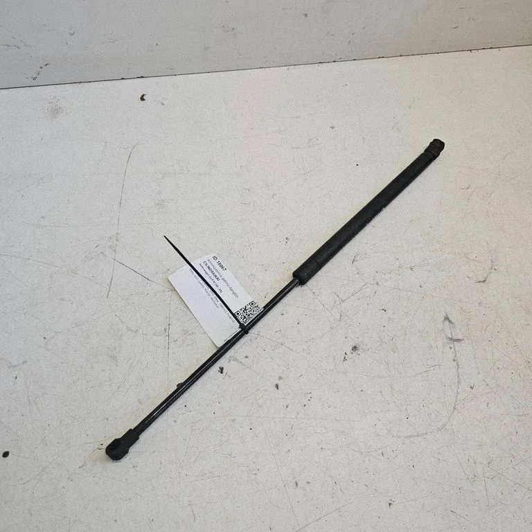 Tailgate/trunk strut/damper
