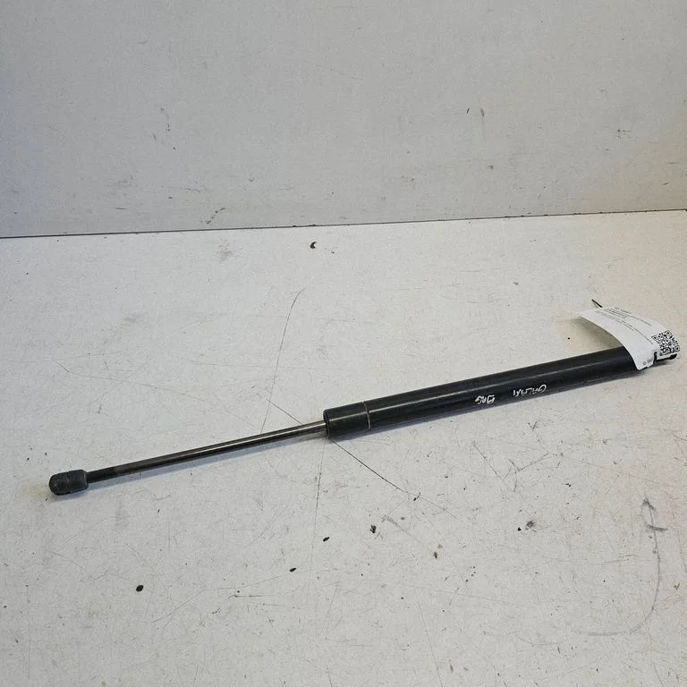 Tailgate/trunk strut/damper