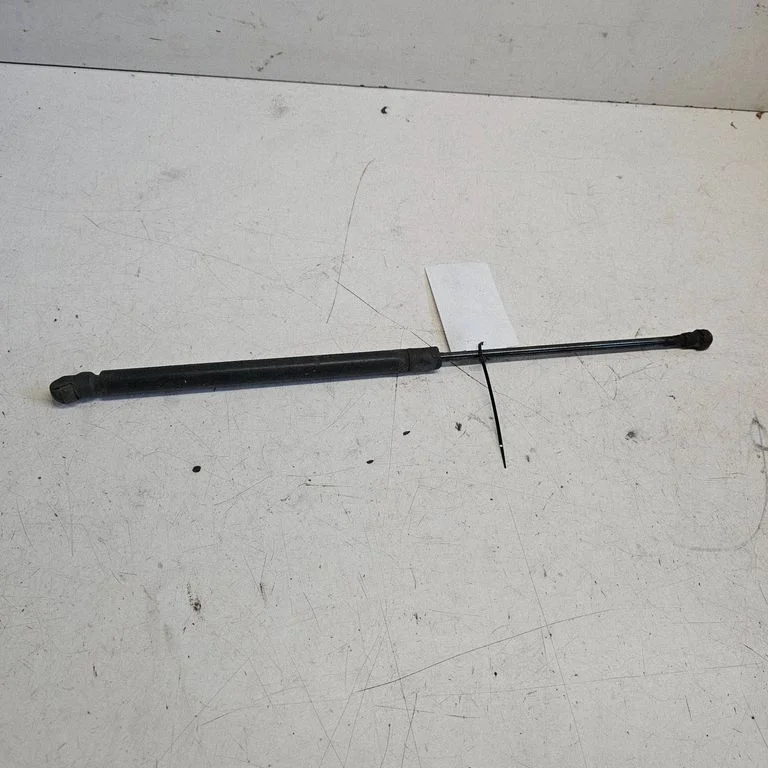 Tailgate/trunk strut/damper