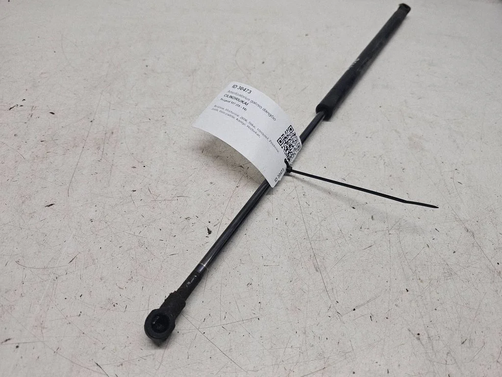 Tailgate/trunk strut/damper 689500H020