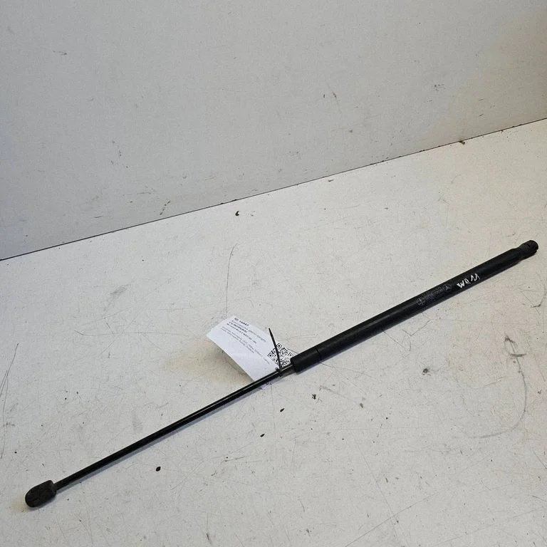 Tailgate/trunk strut/damper