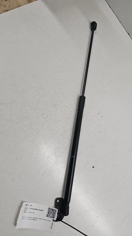 Amortizatorius galinio dangčio