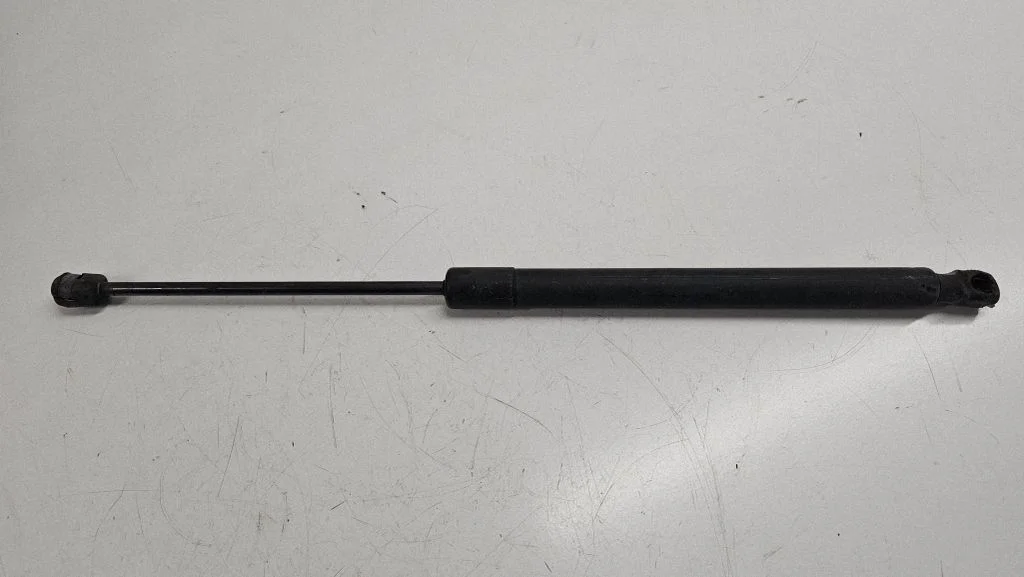Tailgate/trunk strut/damper