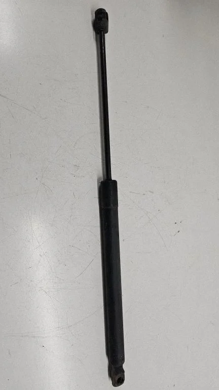 Tailgate/trunk strut/damper