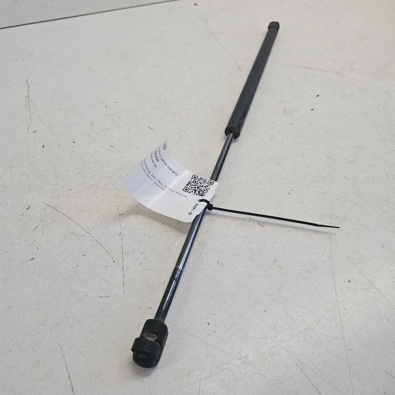 Tailgate/trunk strut/damper