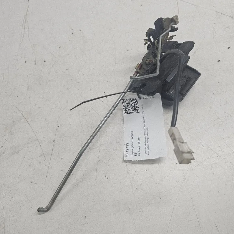 Spyna galinio dangčio