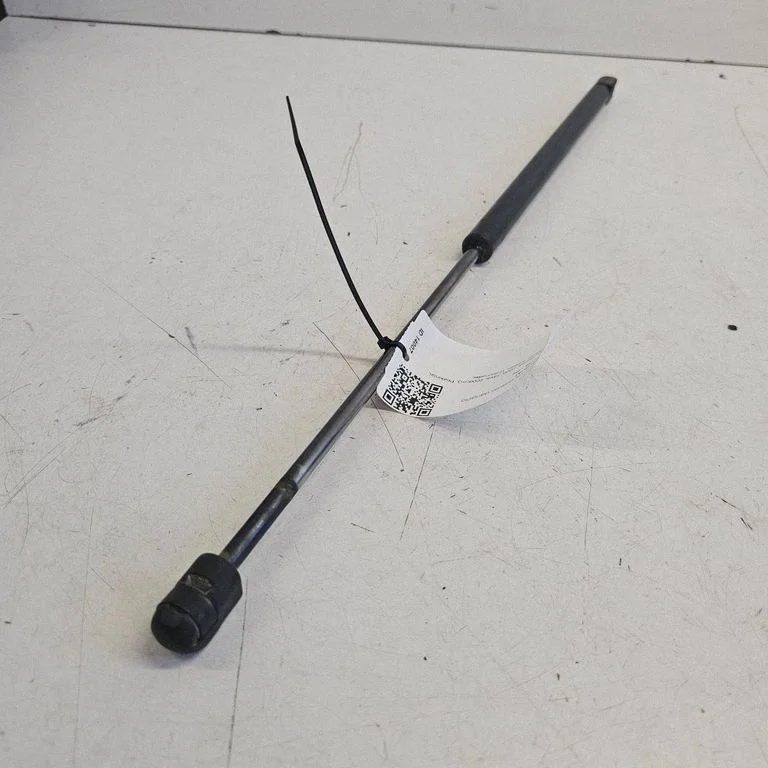 Tailgate/trunk strut/damper