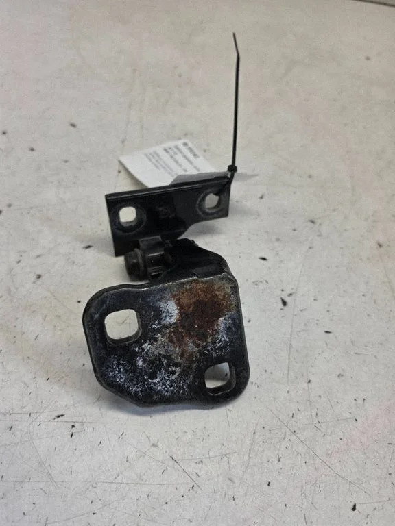 Rear door lower hinge 7017818