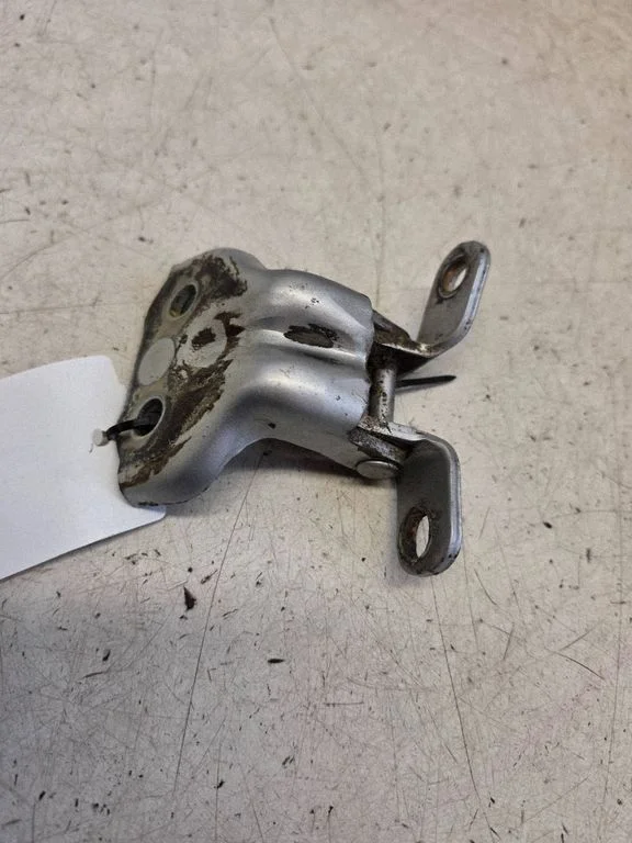 Rear door lower hinge – rear left