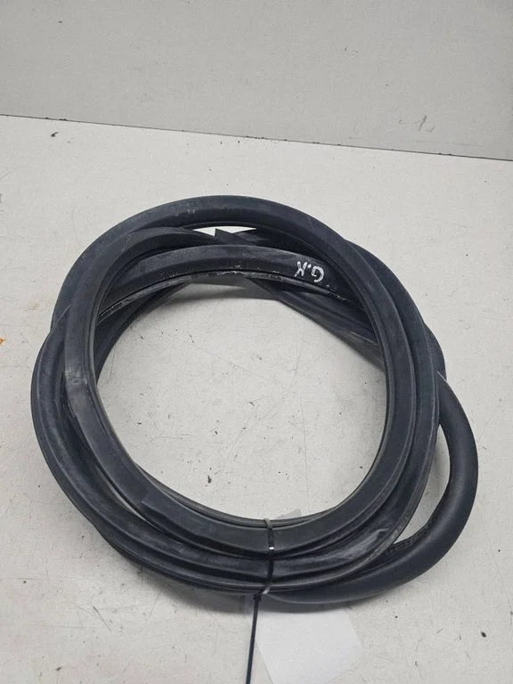 Rear door rubber seal (on body) – rear left