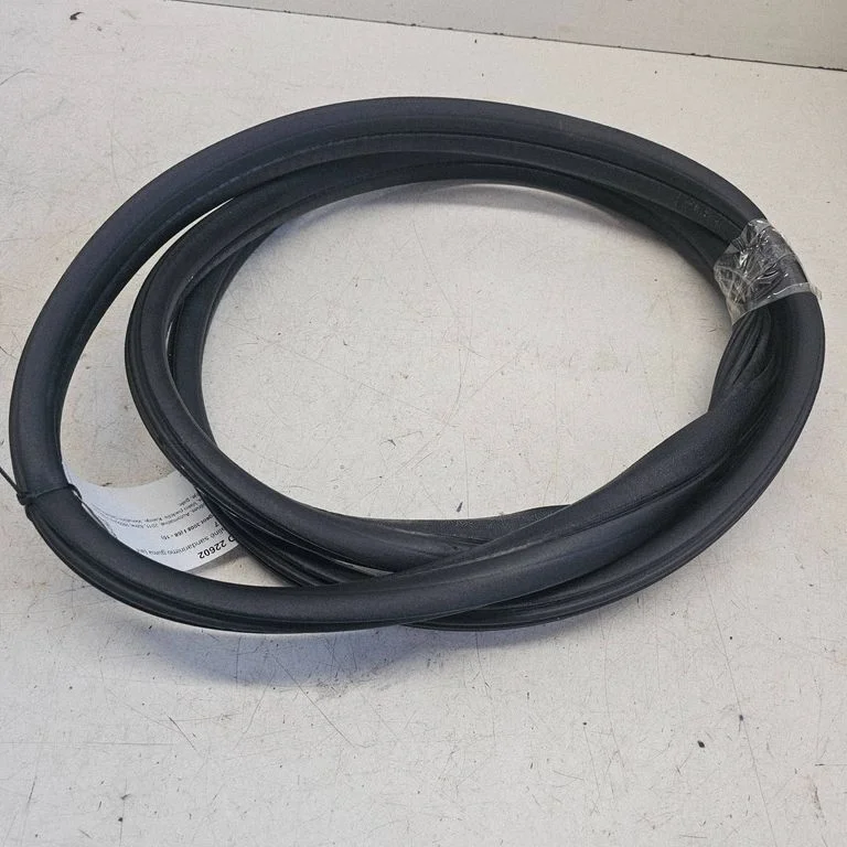 Rear door rubber seal (on body) – rear left