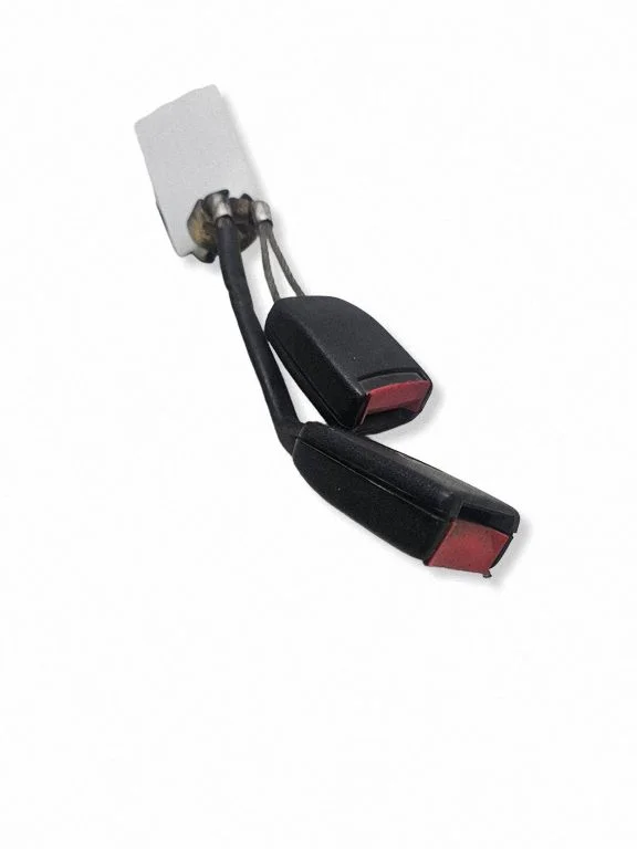 Tagumise turvavöö pannal 3B0857739