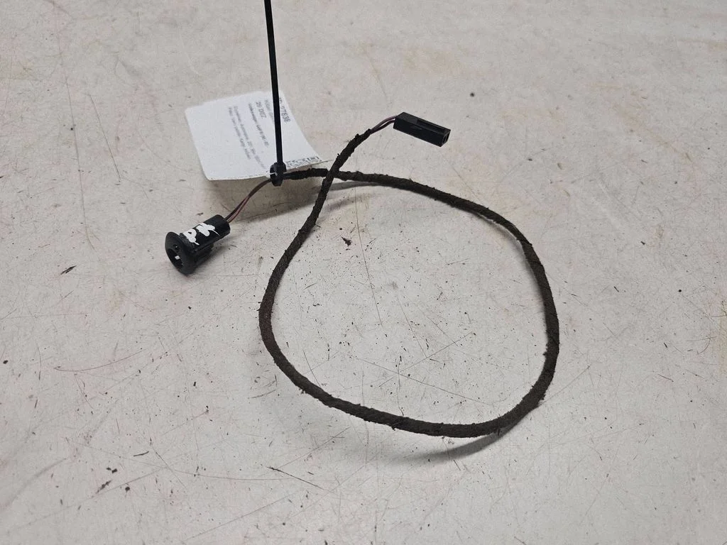 Kitas daviklis