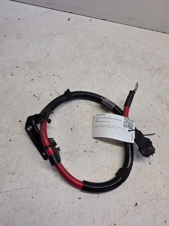 Positive cable (battery) 6904905