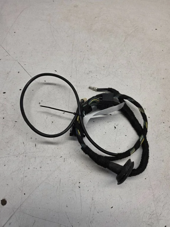 Front door wiring loom 6920291
