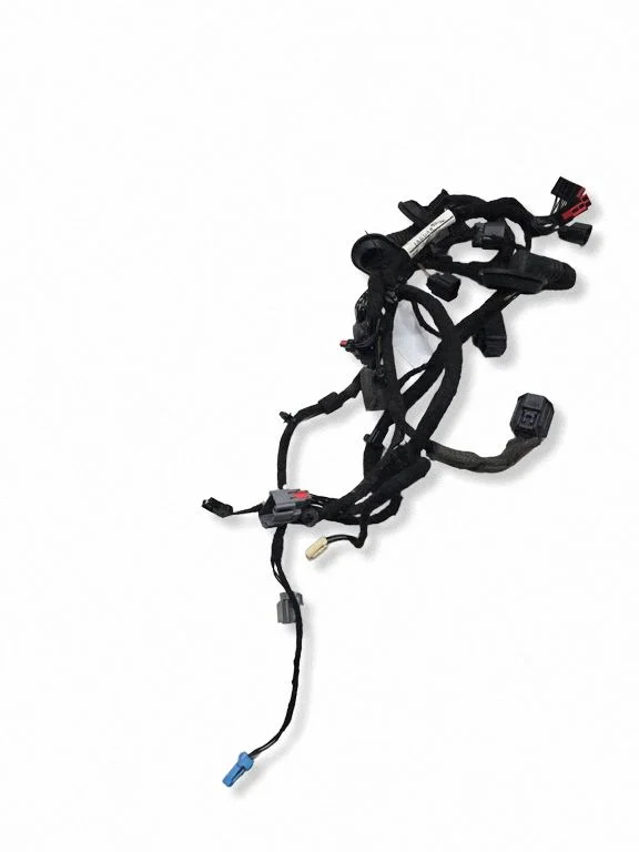 Front door wiring loom – Jaguar XF X250 (2007-2015)