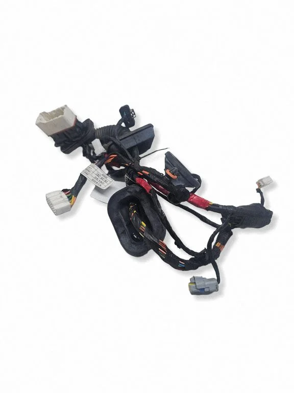 Front door wiring loom 91600