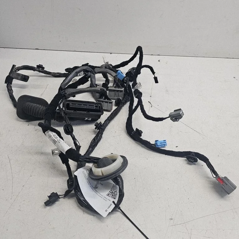 Front door wiring loom GX7314630CEC