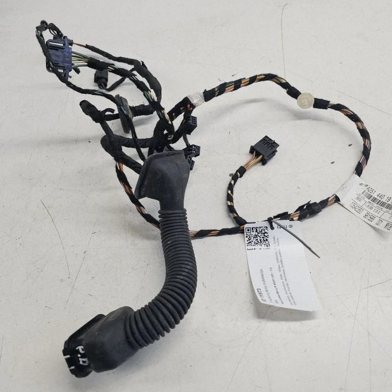 Front door wiring loom A2514401909