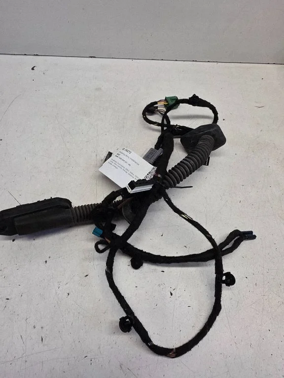 Front door wiring loom 6934009