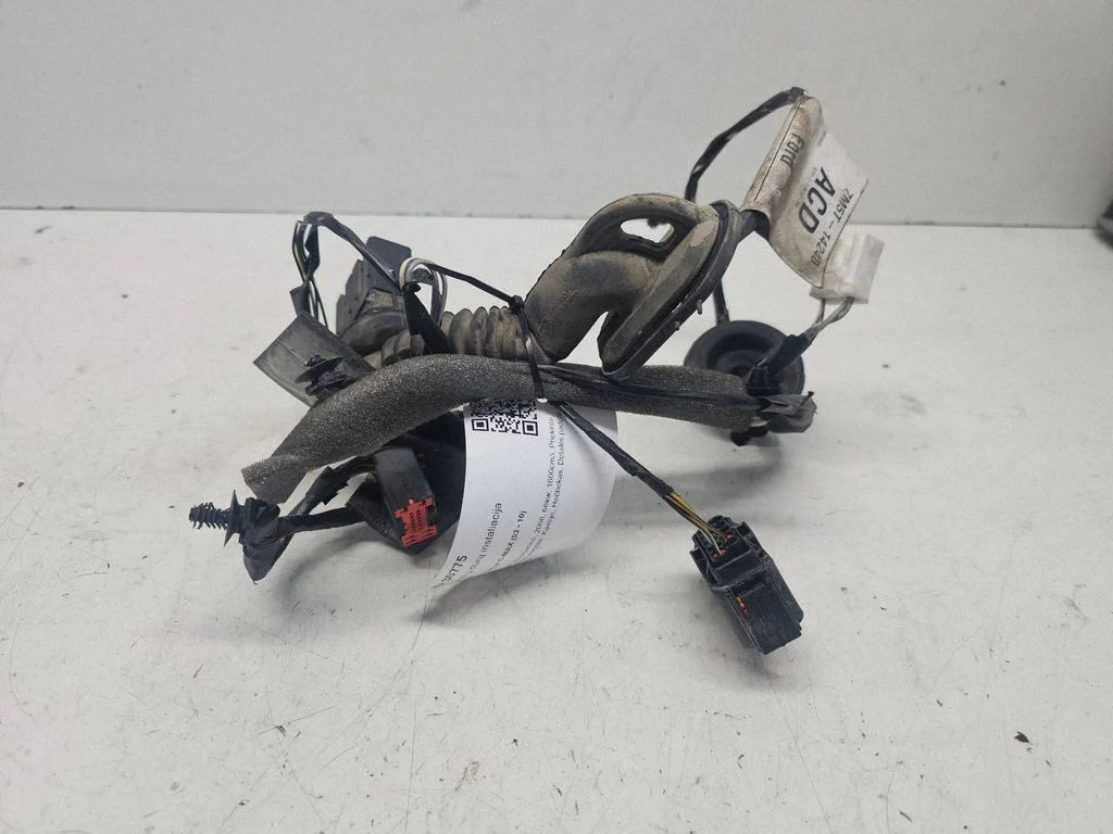 Aizmugurējo durvju vadu instalācija – Ford Focus C-MAX (2003-2010)