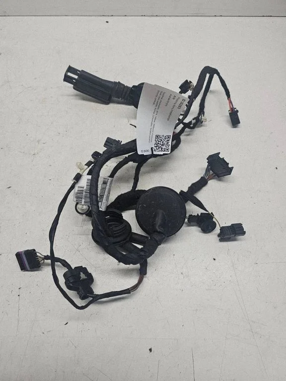 Front door wiring loom 4G5971030EB
