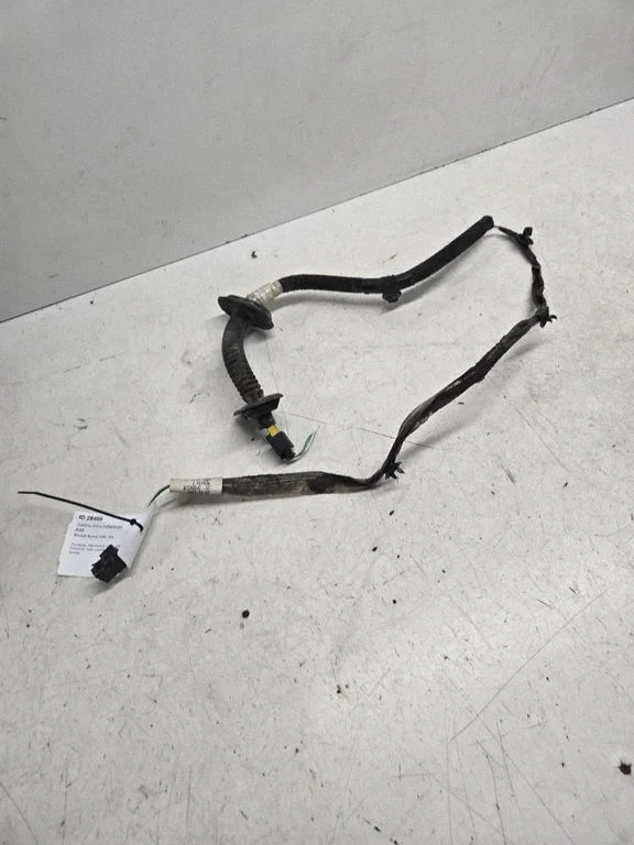 Rear door wiring loom – Renault Scenic I (1996-2003)