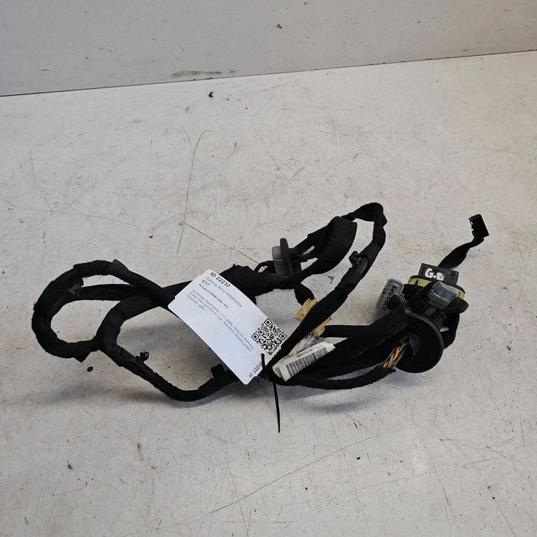 Aizmugurējo durvju vadu instalācija 9675224980