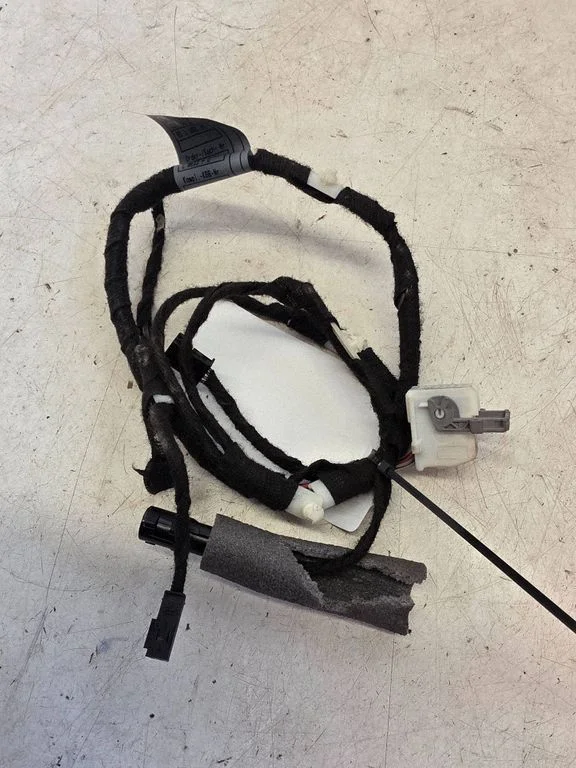 Front door wiring loom 6913126