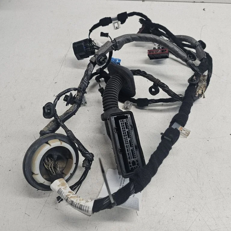 Rear door wiring loom GX7314633ACA