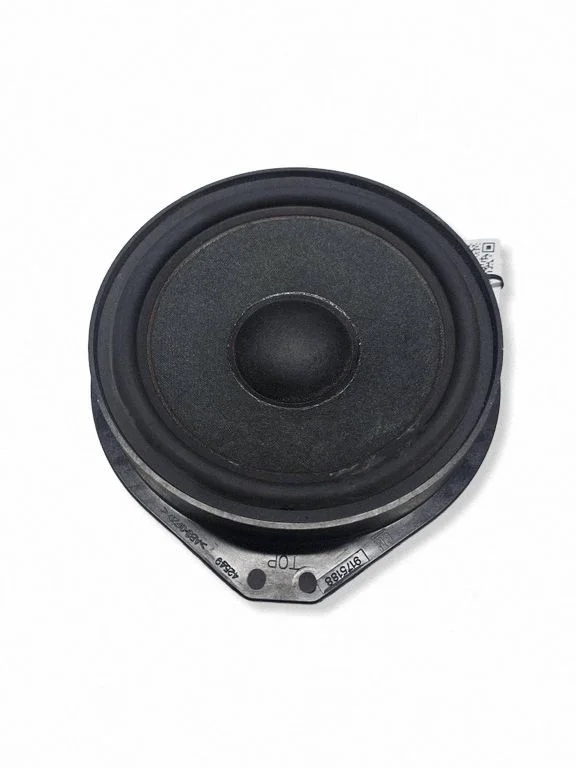Skaļrunis (-ņi) priekšējās durvīs 9175188