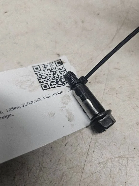 Kita variklio detalė