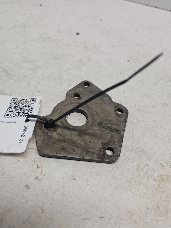 Kita variklio detalė