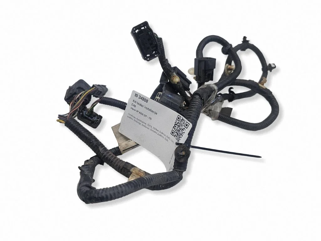 Other wiring loom AX239L468CA