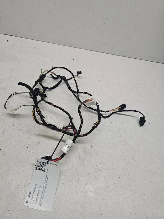 Other wiring loom GX7319949BA