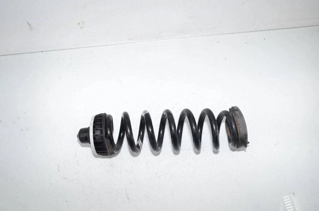 Rear coil spring 6889980