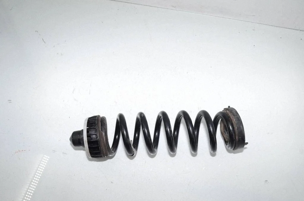 Rear coil spring 6889980
