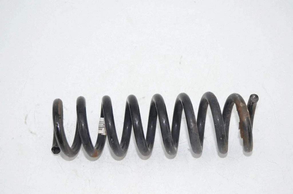 Rear coil spring 6851931