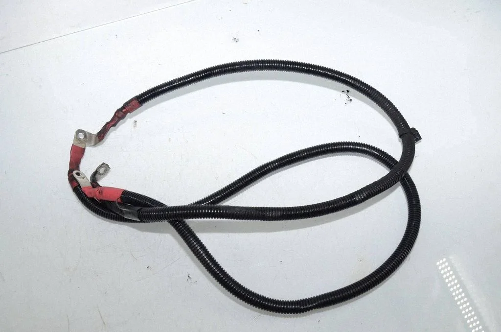 Positive cable (battery) 7800164