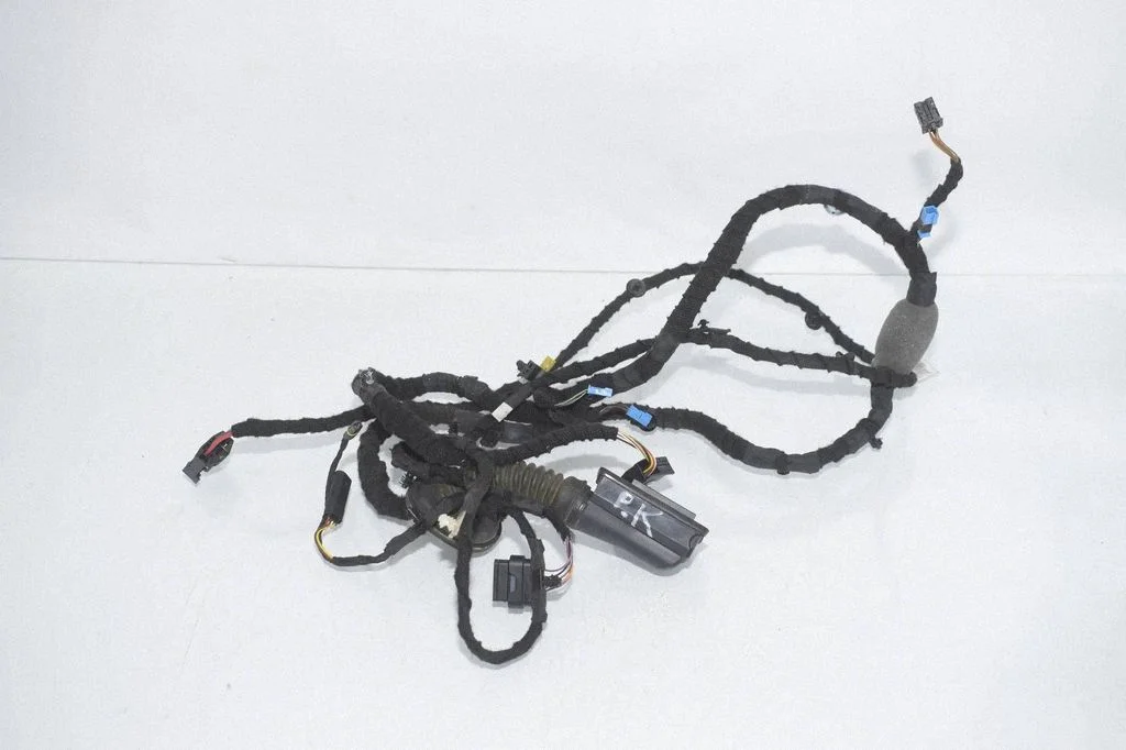 Front door wiring loom 5A20663