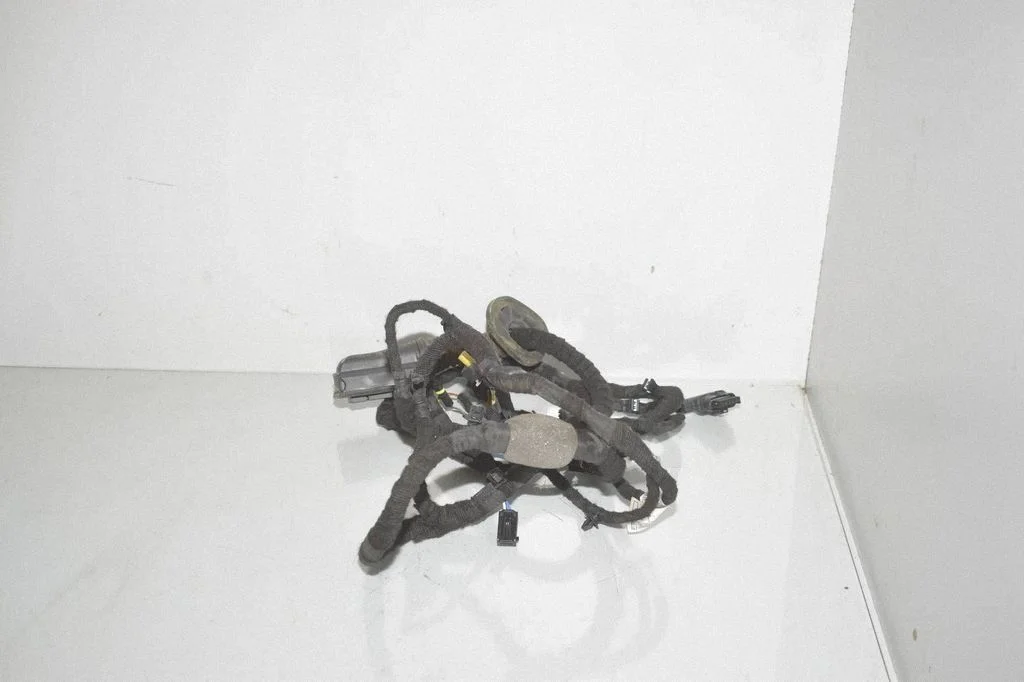 Rear door wiring loom 5A4D099