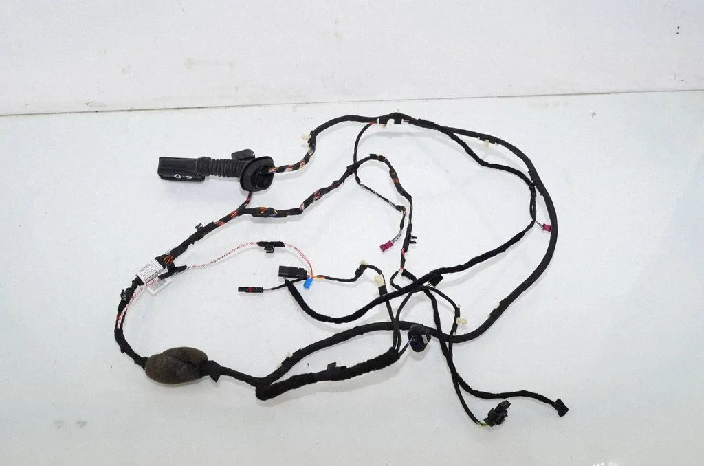 Rear door wiring loom G494423