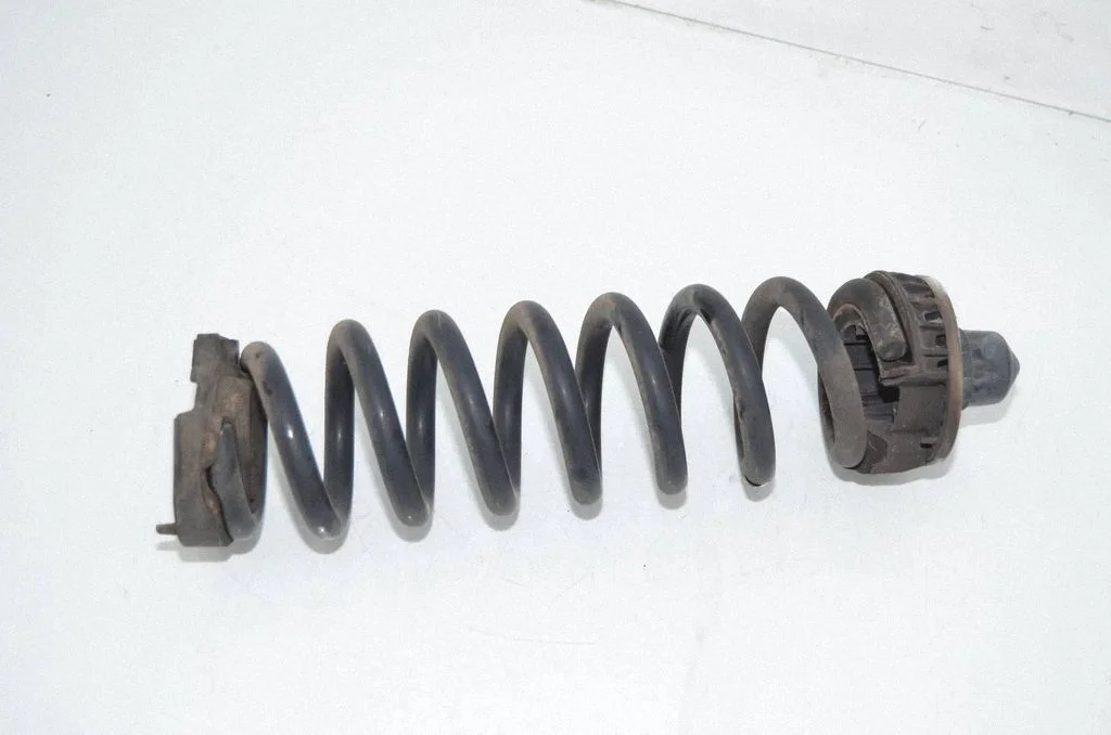 Rear coil spring 6898641