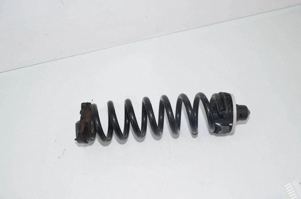 Rear coil spring 6898643