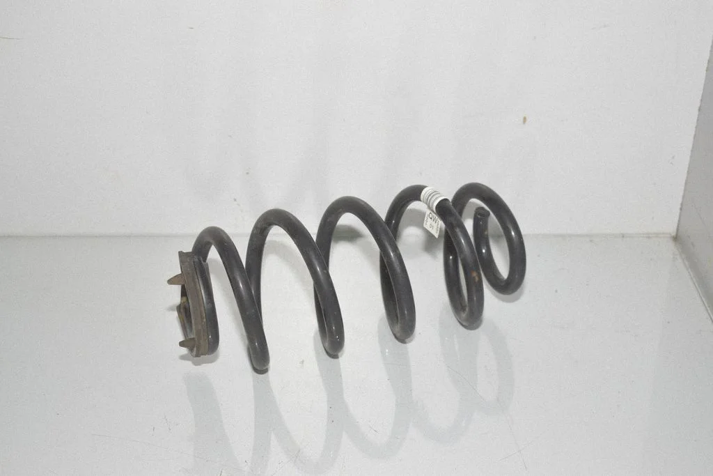 Rear coil spring 6872297